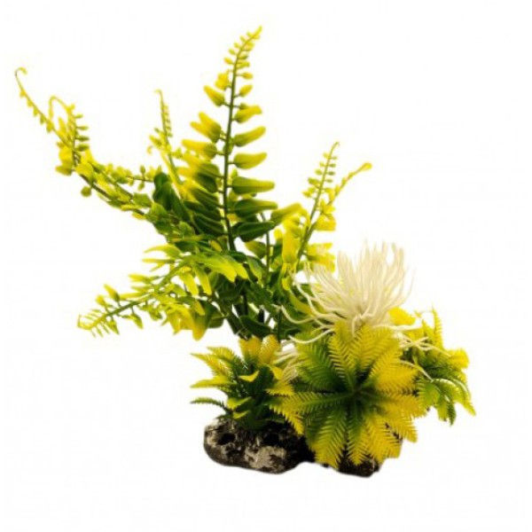 ΔΙΑΚΟΣΜΗΤΙΚΟ ΦΥΤΟ ΕΝΥΔΡΕΙΟΥ 21Χ7Χ8CM